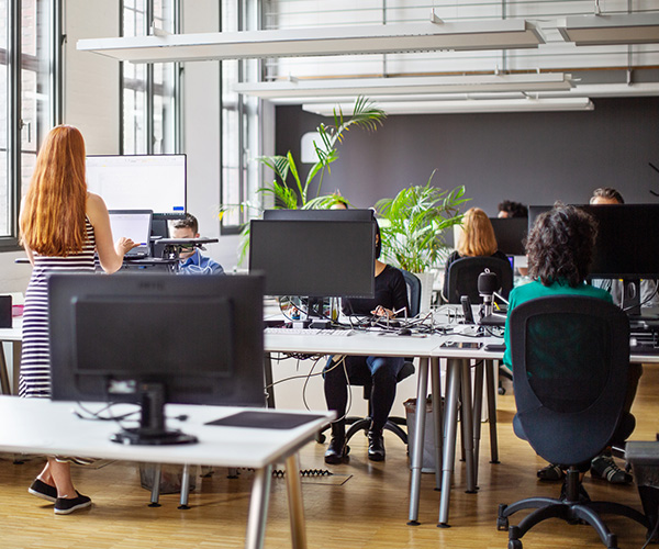 office with people at computers