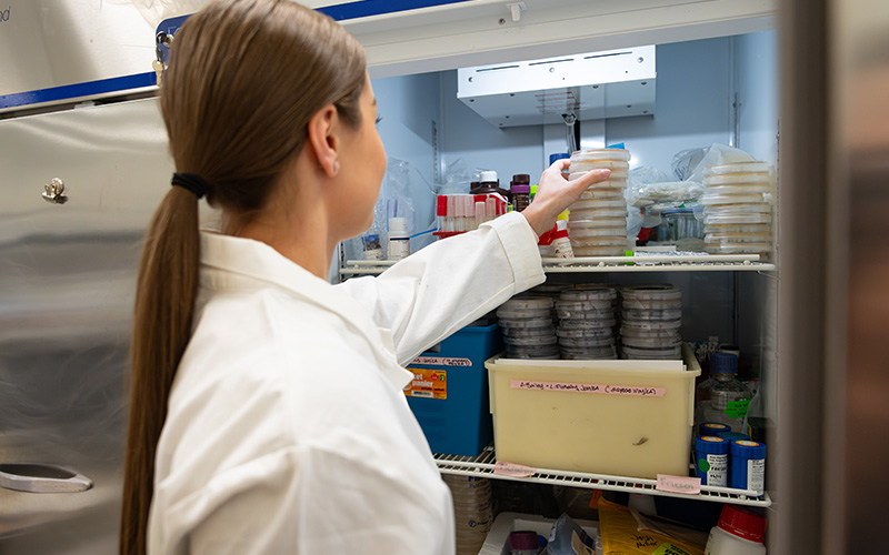 female student placing something in fridge