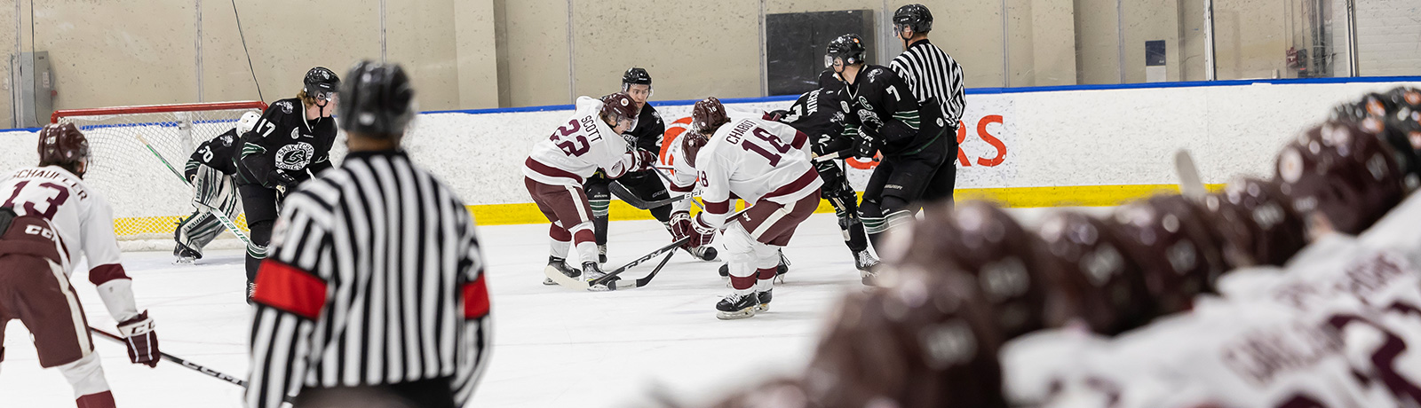 hockey players on ice
