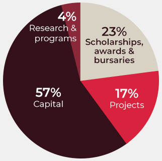 pie chart