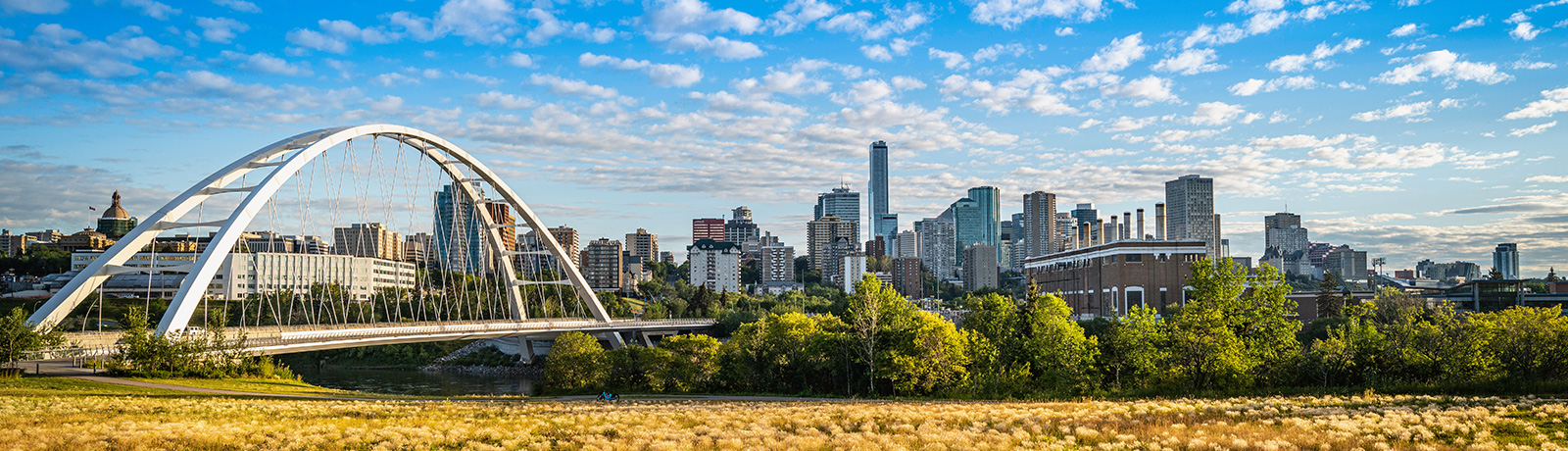 downtown edmonton skyline and bridge