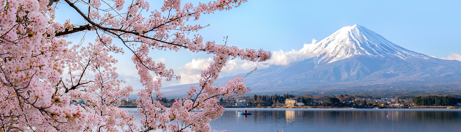 alt="Mount fuji at Lake kawaguchiko with cherry blossom in Yamanashi near Tokyo, Japan"