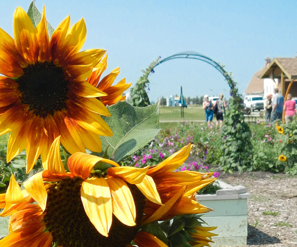 The Green and Gold Garden