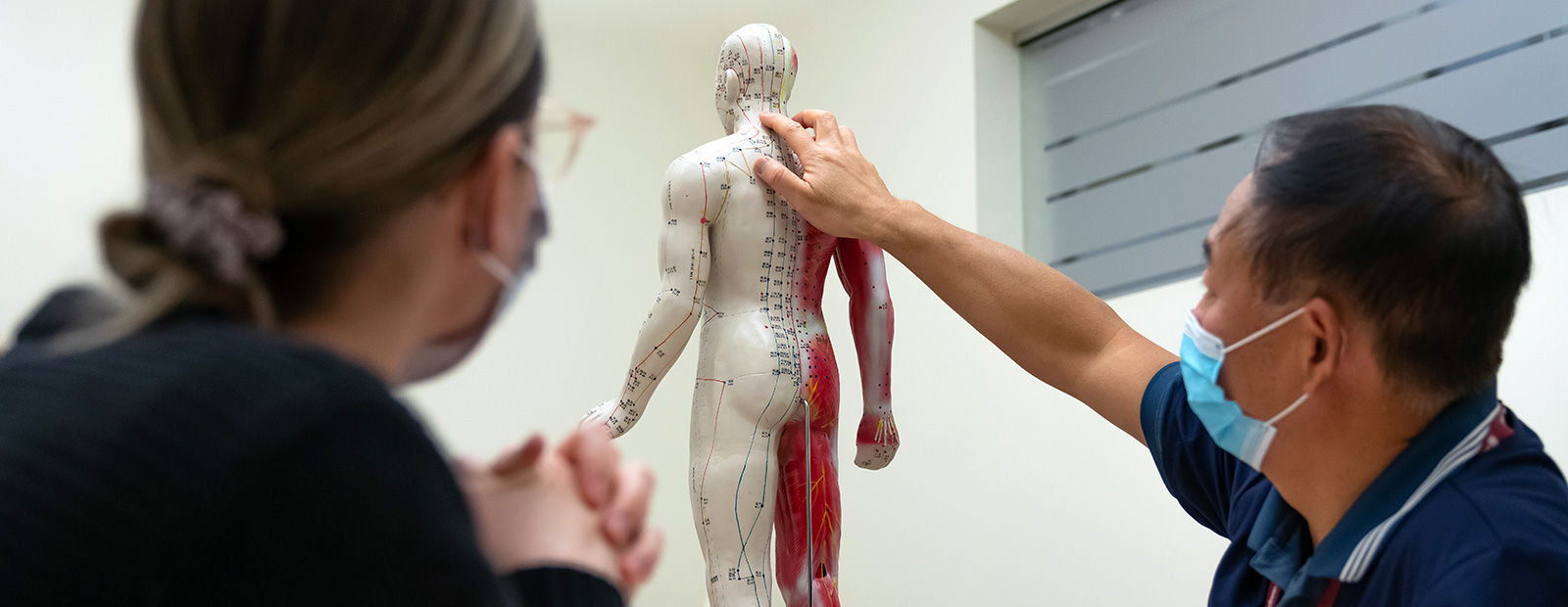 teacher showing student model of back