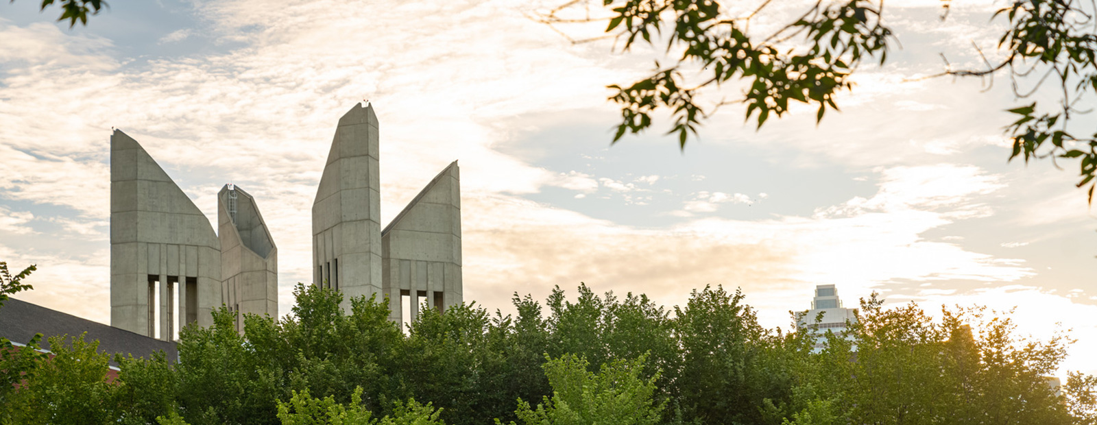 MacEwan towers with trees in foreground