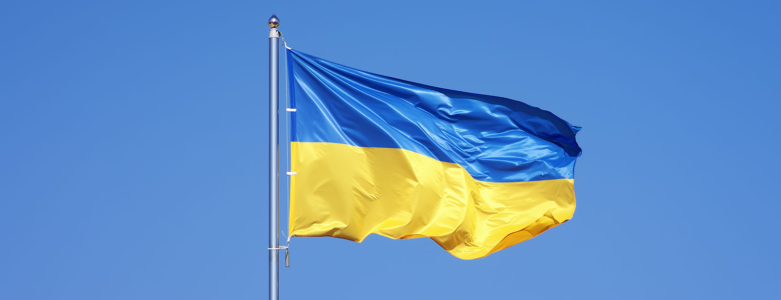 Ukraine flag