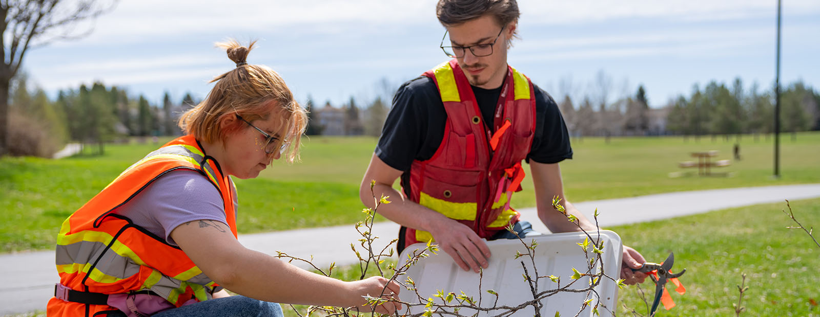 Biological Sciences students Nadiia Chernobai and Taylar Whidden collect branches with different stages of foliage.