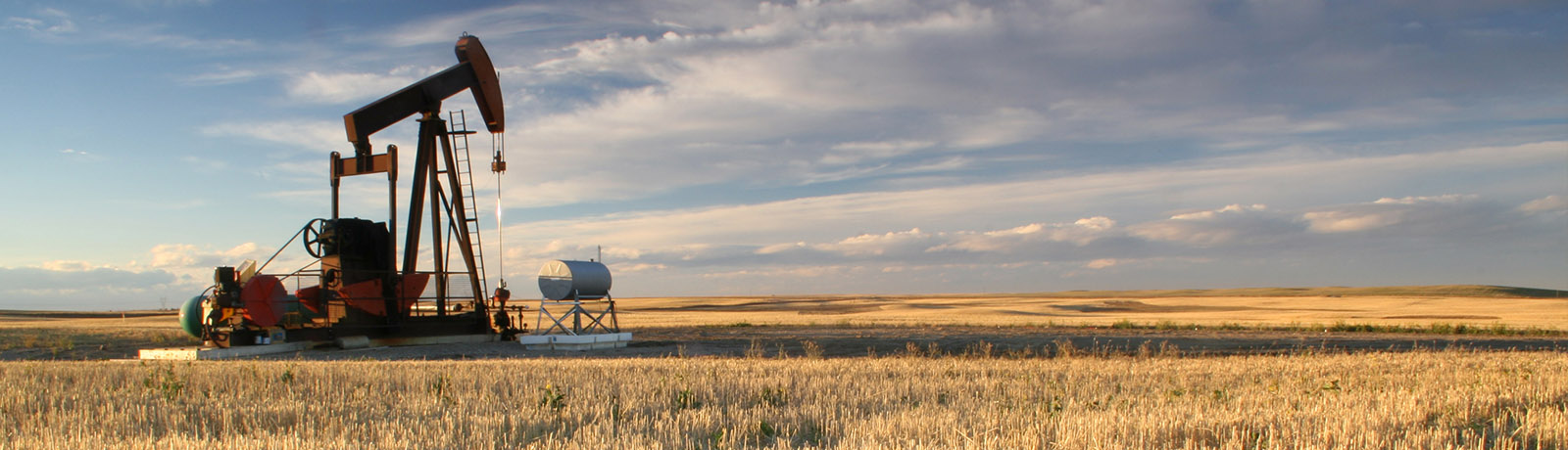 A pumpjack surrounded by a wheat field