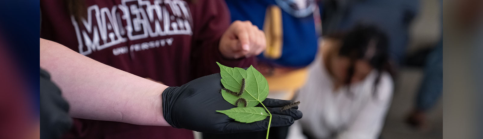A MacEwan student holds a caterpillar and leaves in a gloved hand while a younger student wearing a MacEwan hoodie holds out a finger to touch it