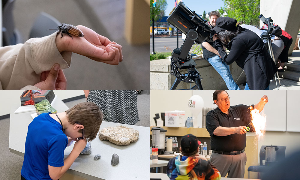 A collage of images: a student holding a hissing cockroach, looking through a telescope, examining a rock and watching Dr. Lucio Gelmini light a chemical on fire