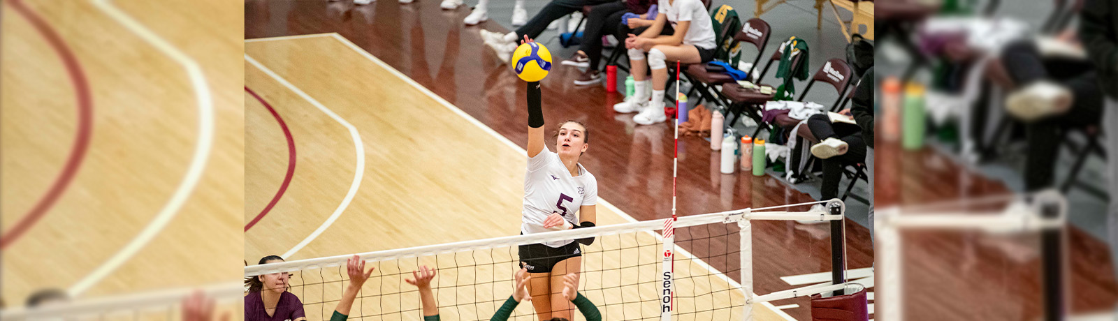 Mariah Bereziuk spikes a volleyball over the net during a game.