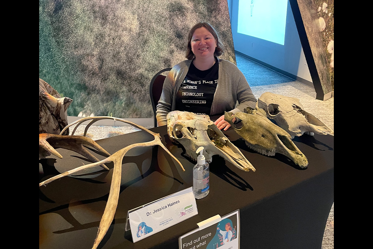 Dr. Haines sits at a table with various animal skulls on it