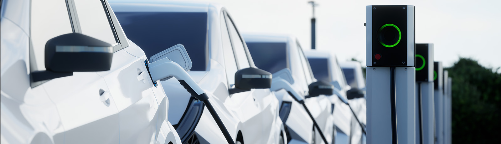 A row of electric vehicles charge on a street