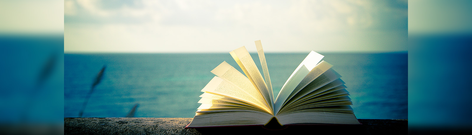 An open book on a log in front of a lake.