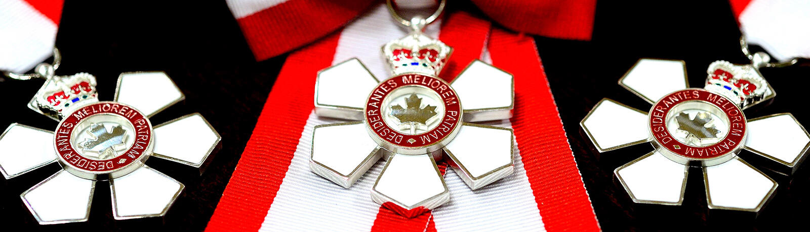 A collection of Order of Canada medals