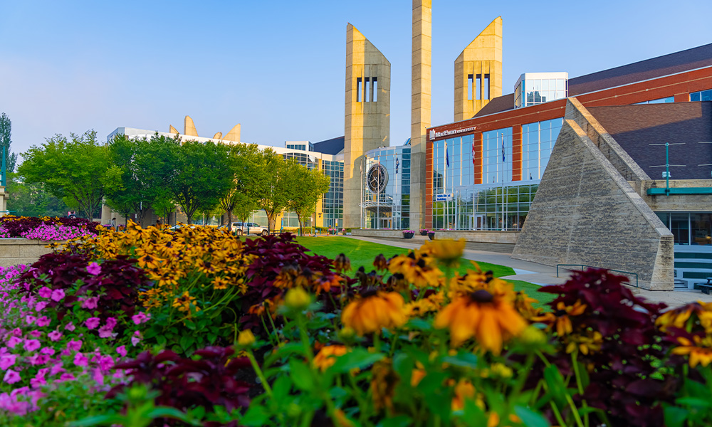 A view of campus in the summer with yellow flowers in the foreground.
