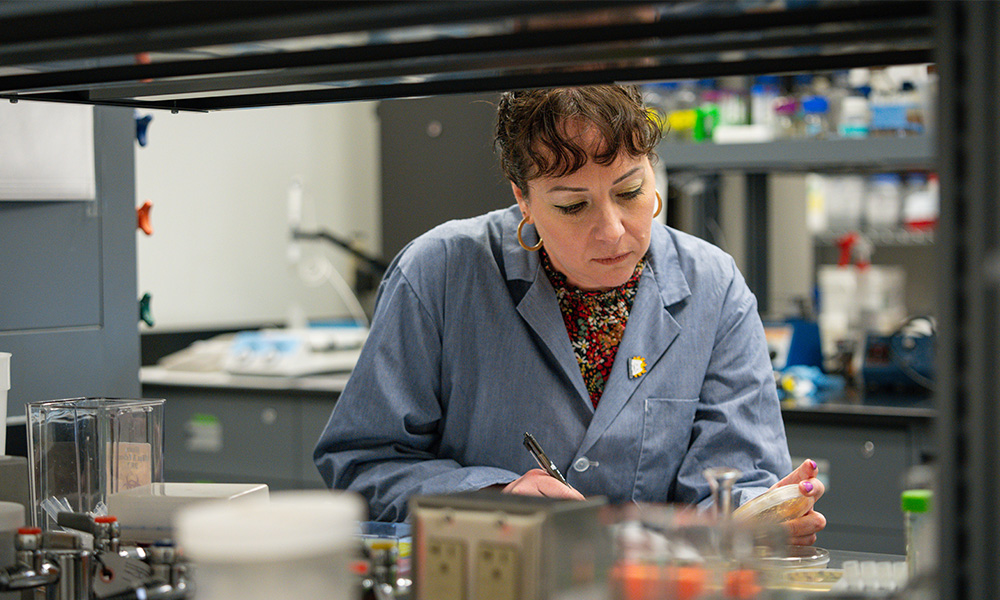 A professor in the lab