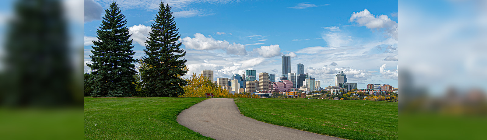 a cityscape of downtown Edmonton with green grass in the foreground