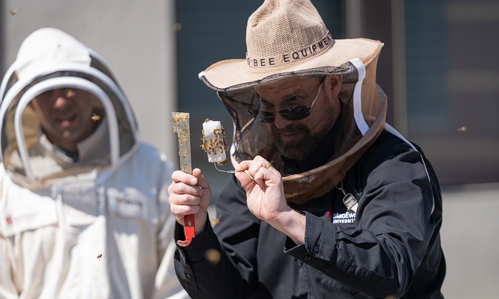 A man in a beekeeping hat holding tools that are covered in bees.