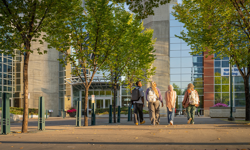Four students walk toward campus with the sunrise, fall leaves all around them.
