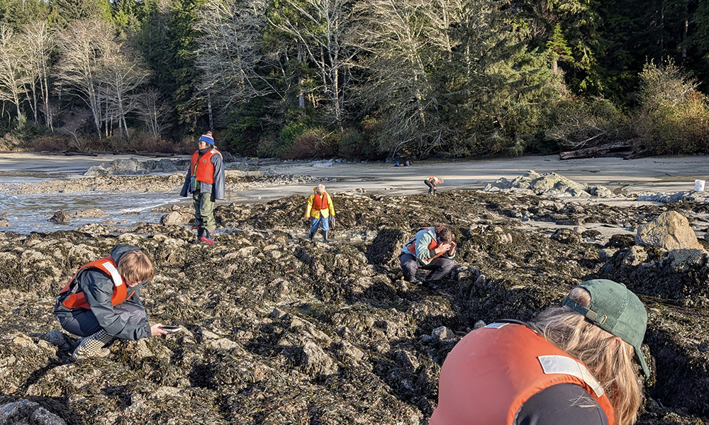 Students wear life jackets while searching through the rocky ocean shoreline