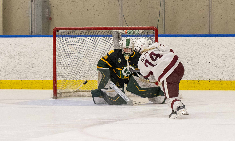 A woman hockey player shoots a puck into the net while the opposing goalie attempts unsuccessfully to block it.