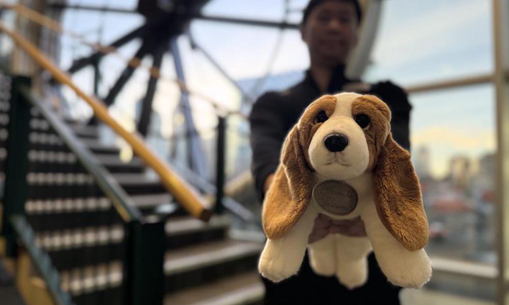 Steven holds out a dog stuffed animal in front of him