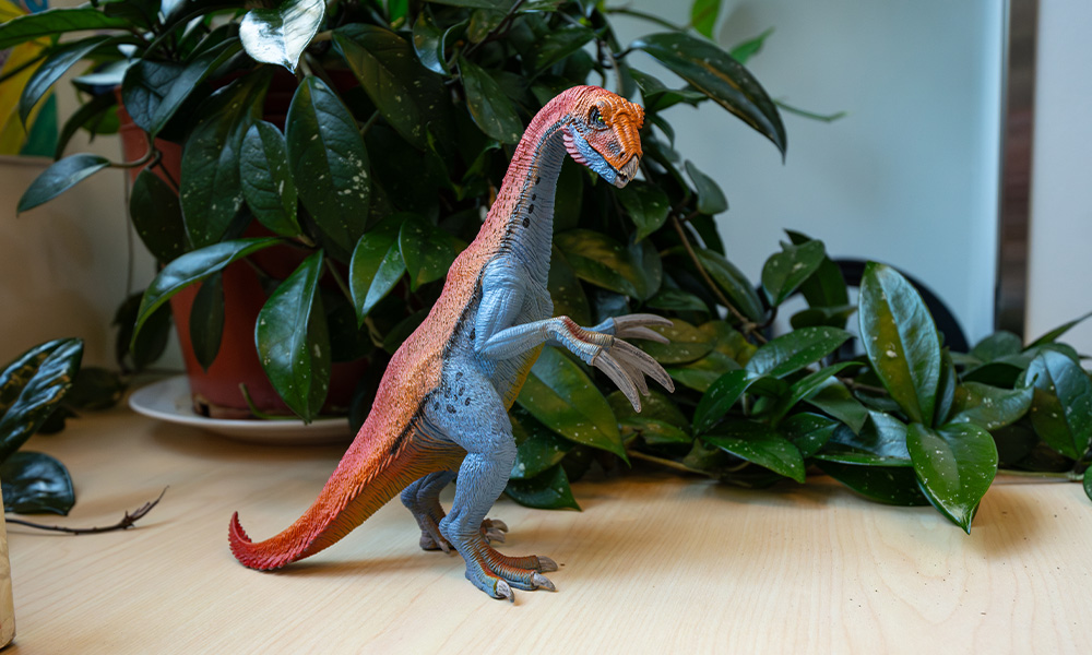 A dinosaur model that stands on two legs, and the front arms have long claws.