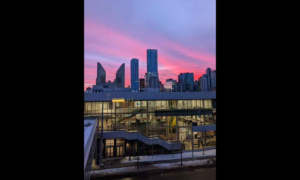 The Edmonton skyline to the east of campus with pink and purple clouds in the sky