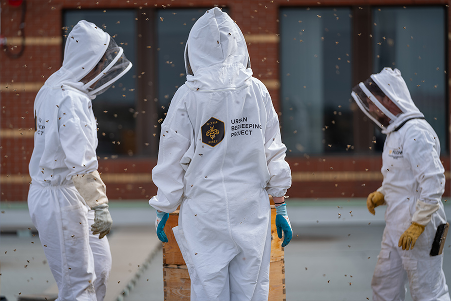 Three. beekeepers in their white suits