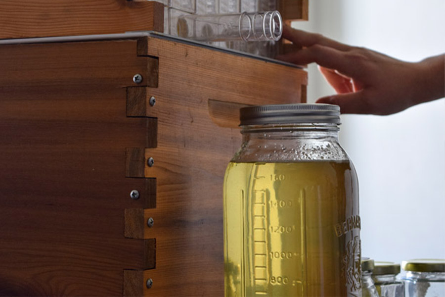 Collecting honey with one of the flow hives