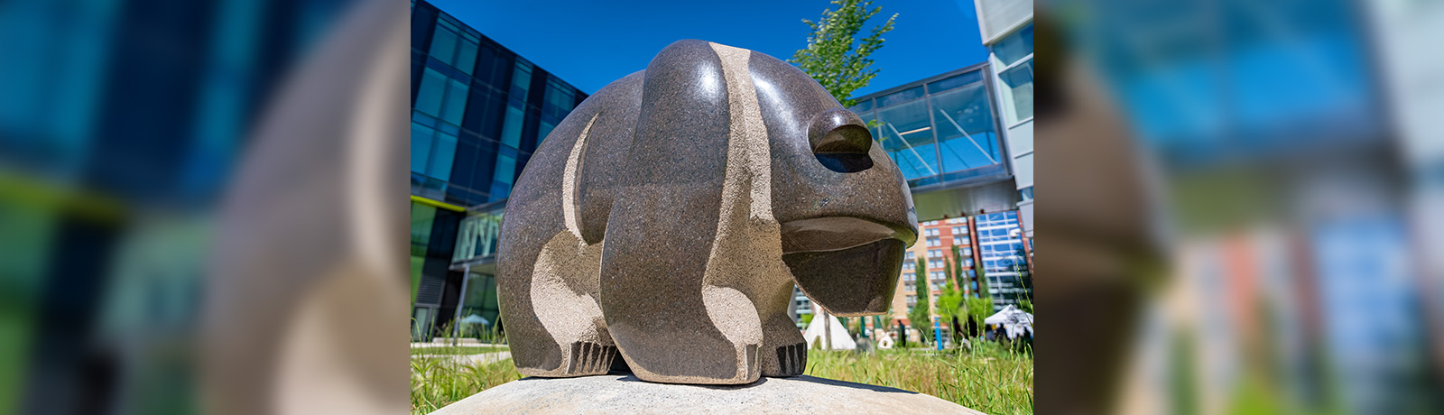 The Mother Bear treaty marker on MacEwan's lawn.