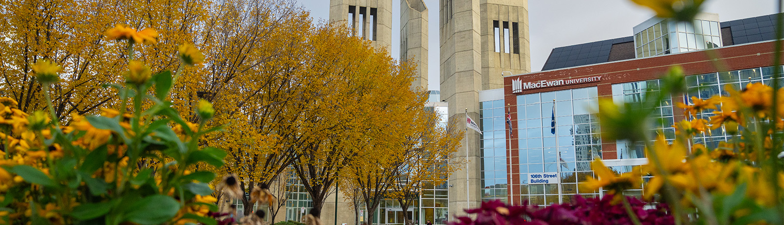 Yellow flowers and leaves in the foreground frame the main entrance to MacEwan University