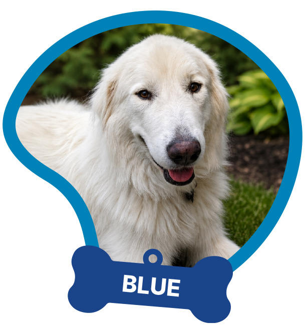 Blue