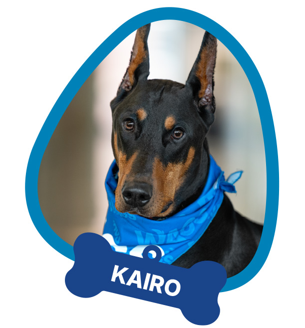 Kairo