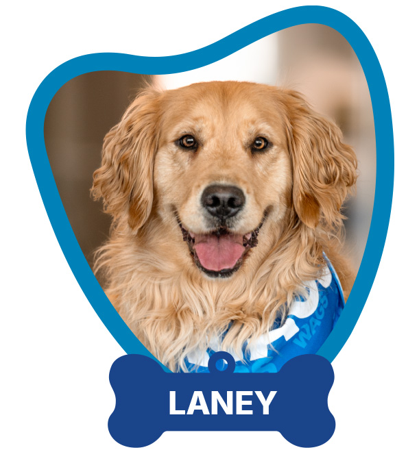 Laney