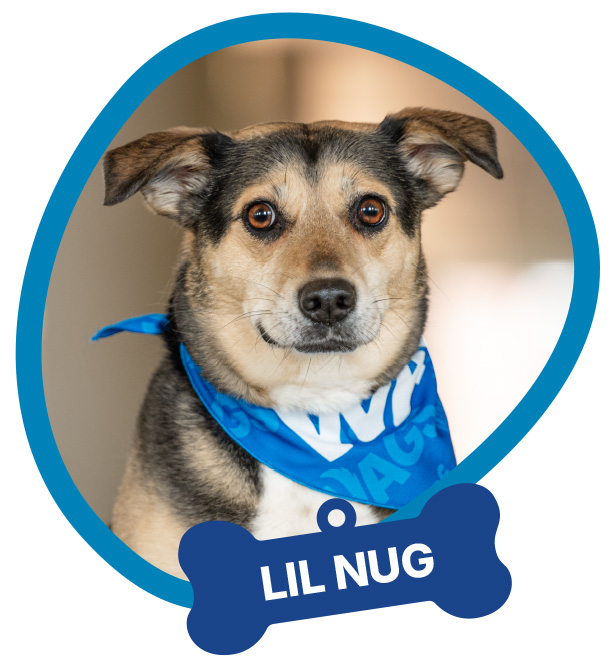 Lil Nug