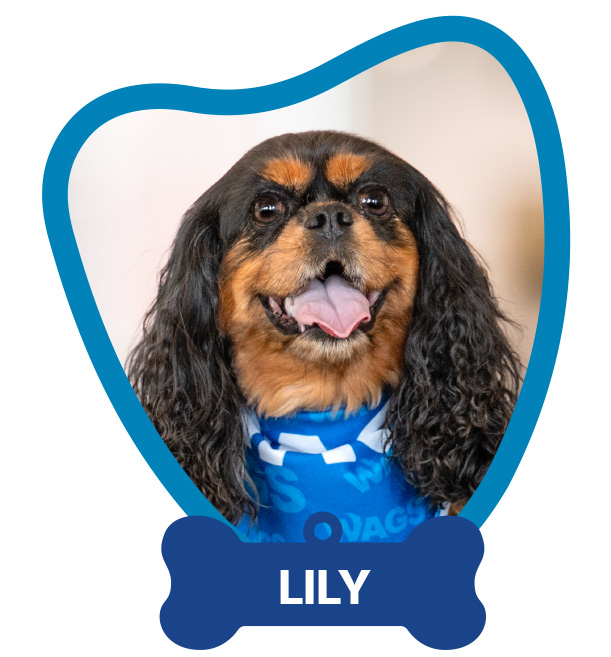 Lily