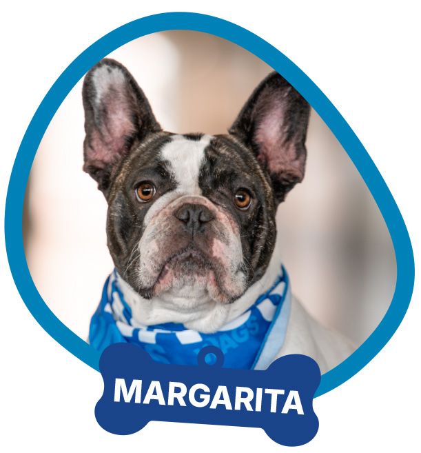 Margarita