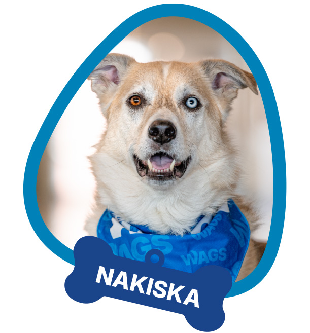 Nakiska
