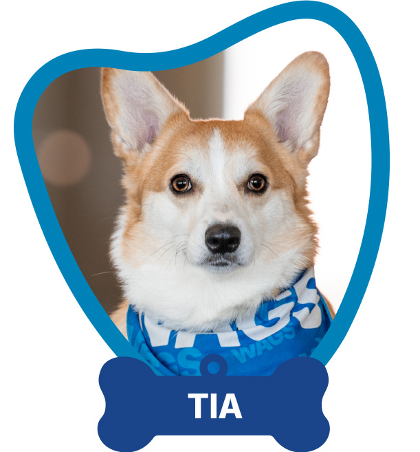 Tia