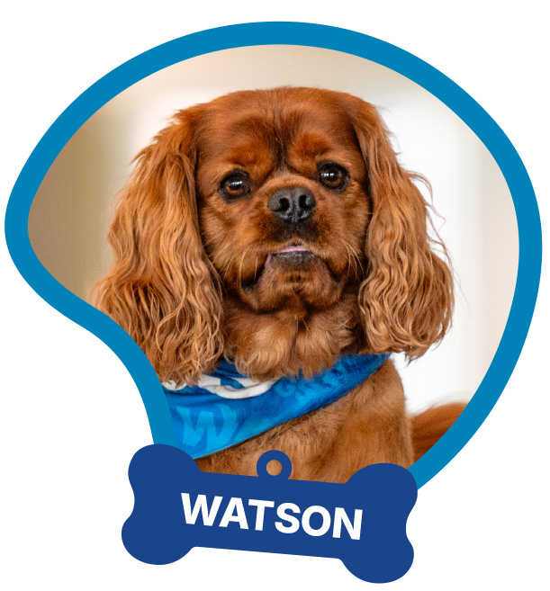 Watson