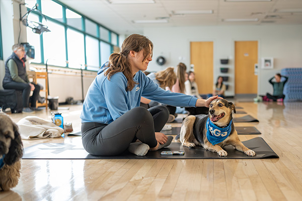 female student doing yoga with a WAGS dog on her mat