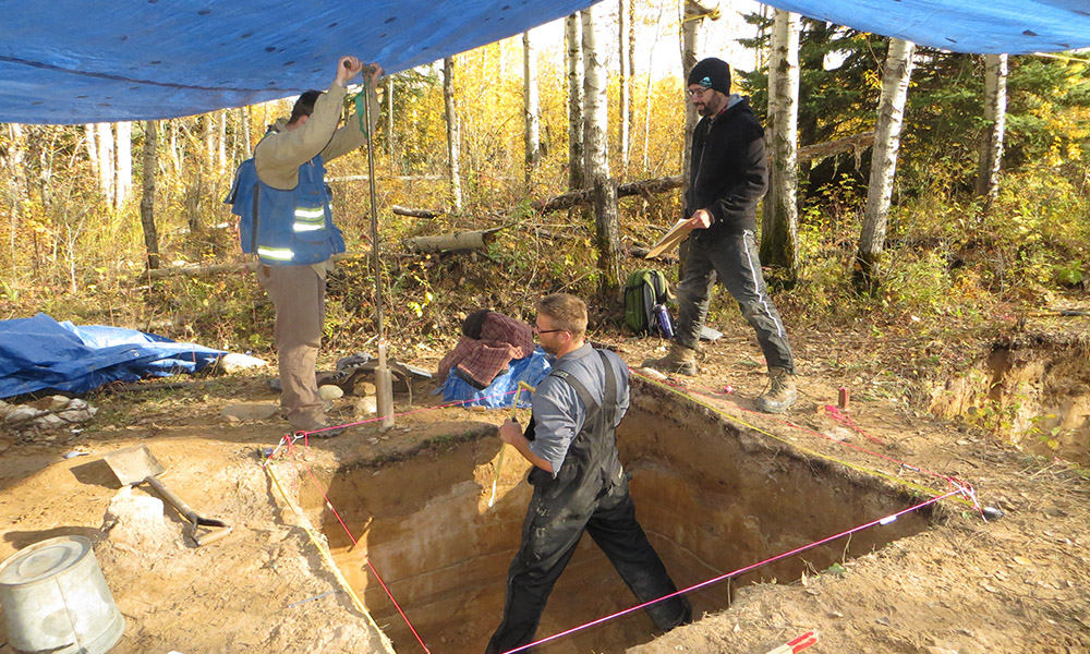 Researchers stand inside and alongside a pit in a birch forest