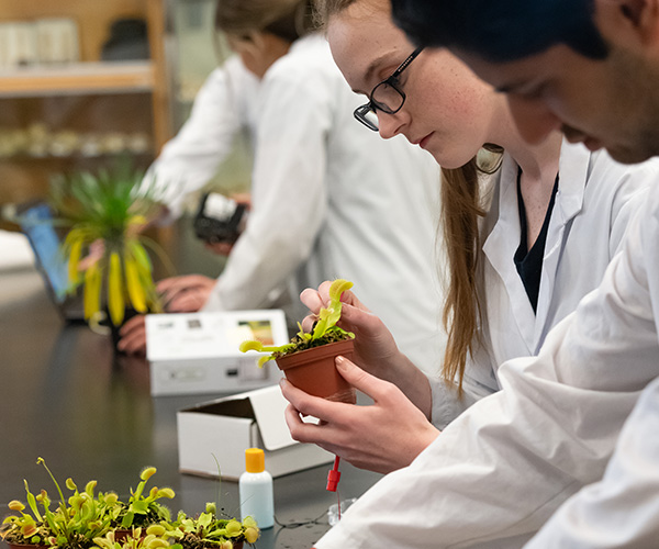 students looking at plants in lab